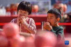 山東沂源：蘋(píng)果節(jié)助民增收