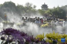 秋日風(fēng)光好 菊香溢開(kāi)封