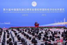 第六屆中國國際進(jìn)口博覽會開幕
