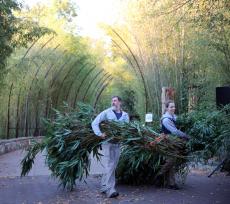 旅美大熊貓全家乘專(zhuān)機(jī)回國(guó)