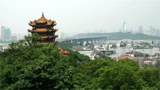 眾游天下??快樂加分——淺談?dòng)斡泴懽髅卦E