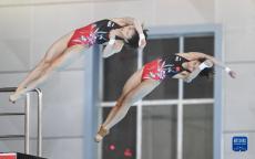 跳水——全國(guó)錦標(biāo)賽：全紅嬋/陳芋汐女子雙人10米臺(tái)奪冠