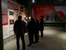 湖南嘉禾縣投融資服務(wù)中心黨支部開展主題黨日活動(dòng)