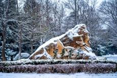 組圖：高校雪景“大賞”，快來看看你的大學(xué)有多美！