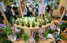 首設(shè)主賓國(guó)，冬交會(huì)“朋友圈”再擴(kuò)大