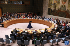 聯(lián)合國(guó)安理會(huì)通過(guò)決議要求加大對(duì)加沙地帶人道援助力度