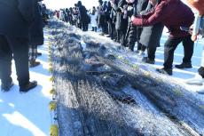 冬捕最大單網(wǎng)出魚量30萬斤 黑龍江冷水養(yǎng)出“熱”經(jīng)濟(jì)