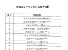 衡陽市中小企業(yè)服務(wù)中心喜提全國“雙料優(yōu)秀”