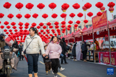 華中超級“菜籃子”保障年貨供應(yīng)