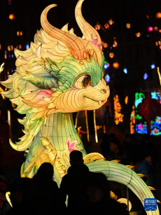 花燈絢麗迎新春