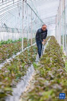 驚蟄時(shí)節(jié)農(nóng)事忙