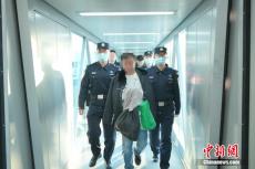 外逃11年！一名重要紅通犯罪嫌疑人被從印尼遣返回國