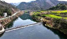 安徽歙縣：油菜花海引游人