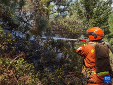 四川省甘孜州康定市沙德鎮(zhèn)發(fā)生森林火災