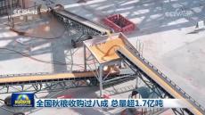 全國(guó)秋糧收購(gòu)過(guò)八成 總量超1.7億噸