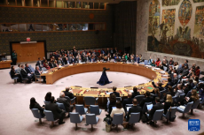 巴勒斯坦“入聯(lián)”決議草案在安理會遭美國一票否決