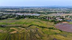 安徽廬江：山村春光美