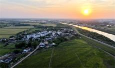 安徽廬江：初夏鄉(xiāng)村美