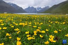 堅持以高水平保護支撐高質量發(fā)展