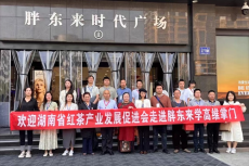 湖南茶葉組團(tuán)赴河南許昌開展首場產(chǎn)銷研學(xué)活動有感