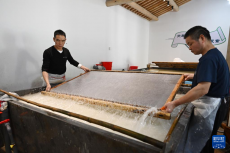 非遺宣紙煥新生