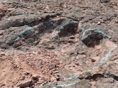 云南祿豐發(fā)現距今約1.2億年恐龍足跡化石群