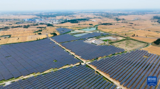 山東嘉祥：農(nóng)光互補賦能塌陷區(qū)治理