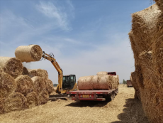 禹州市范坡鎮(zhèn)：“金色秸稈”變“綠色財(cái)富”