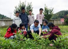 金石橋鎮(zhèn)中銀小學(xué)：弘揚(yáng)中醫(yī)藥文化, 普及中草藥知識(shí)