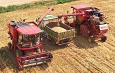 北京平谷：小麥收獲忙