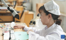 遼寧丹東：手腕上的“智造”與創(chuàng)新