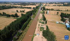 山東日均引黃河水量增至5500萬立方米