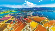 特色游帶火夏日經(jīng)濟(jì)