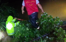 當(dāng)防汛遇上“七一”，岳陽(yáng)縣張谷英鎮(zhèn)黨員這樣過(guò)