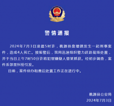 湖南桃源縣發(fā)生刑案致4人死亡，警方：嫌疑人被抓獲