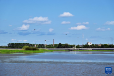 探訪同江三江口國家濕地公園