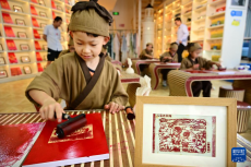 山東青島：暑期國(guó)風(fēng)研學(xué)熱