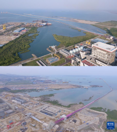 中國(guó)印尼兩國(guó)企業(yè)合作修復(fù)紅樹(shù)林