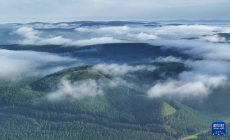 塞罕壩：浩瀚林海壯美如畫(huà)