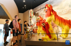 文化中國行丨在中國大運河“非遺”展示館感受文化脈動