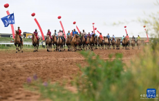 內(nèi)蒙古鄂托克旗：共享多彩那達慕