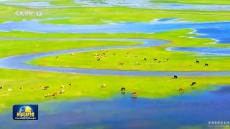 扎實推進生態(tài)文明建設(shè) 繪就美麗中國更新畫卷