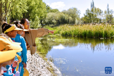 西藏：開啟生態(tài)科普研學(xué)活動(dòng)