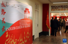 “絲路長(zhǎng)云——中國(guó)藝術(shù)文化精品展”在伊朗開(kāi)幕