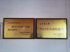 國家和省市縣作協(xié)領(lǐng)導(dǎo)走進(jìn)高沙鎮(zhèn)文聯(lián)，助力高沙文化復(fù)興