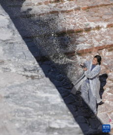 西藏布達(dá)拉宮“甜”墻煥新