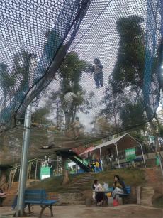 文旅經(jīng)濟如何從細分領(lǐng)域破“卷”？ ? 