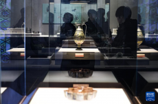 五色之金——亞洲古代金屬藝術(shù)展在河北博物院開展