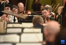 2025年維也納新年音樂會即將上演