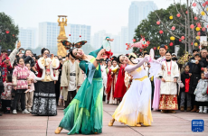 2025年川渝新春年貨文化節(jié)在重慶永川舉行